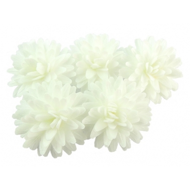 Kwiat waflowy stokrotka pomponikowa 5 szt biała